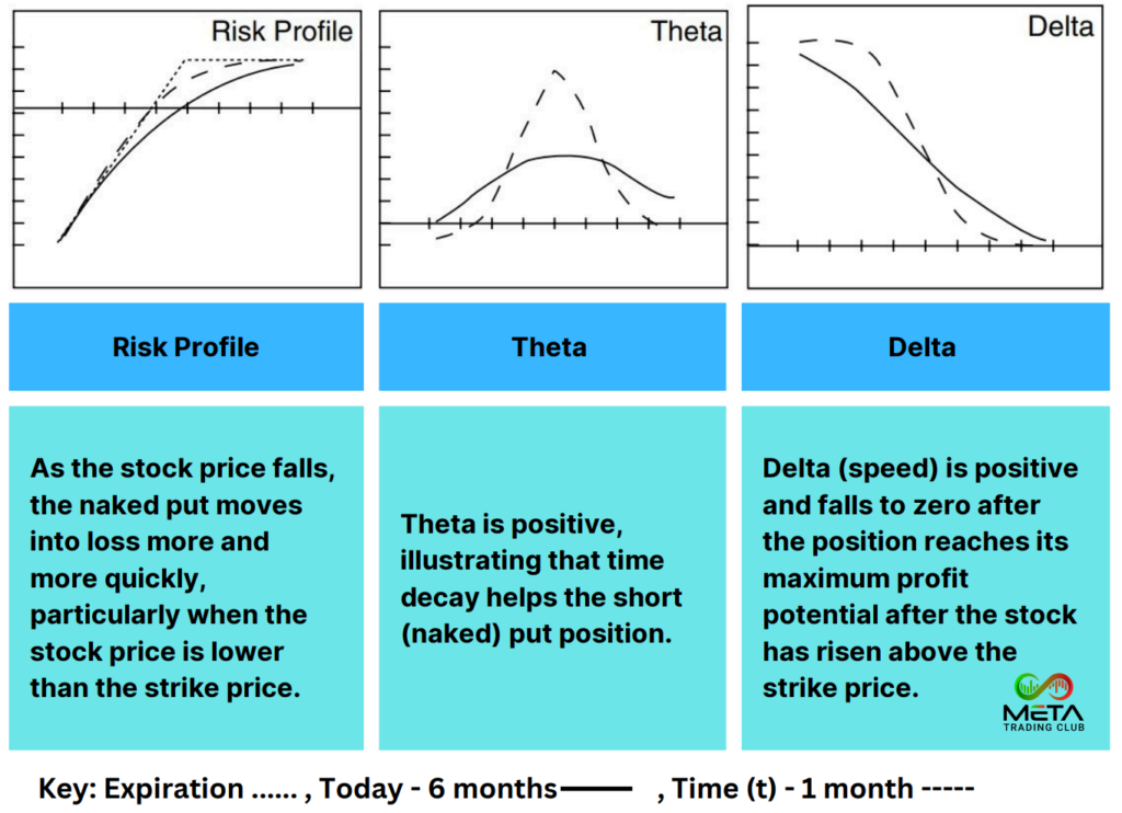 Option Trading Strategies: (4) Basic Strategies [2024]