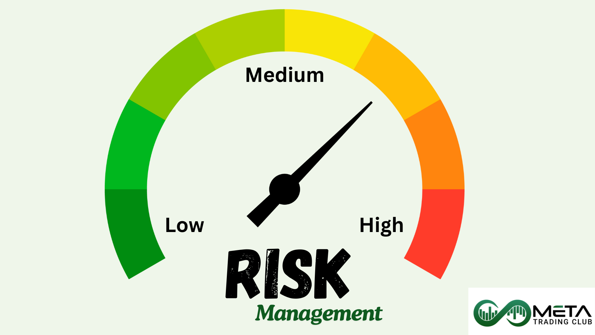 risk management