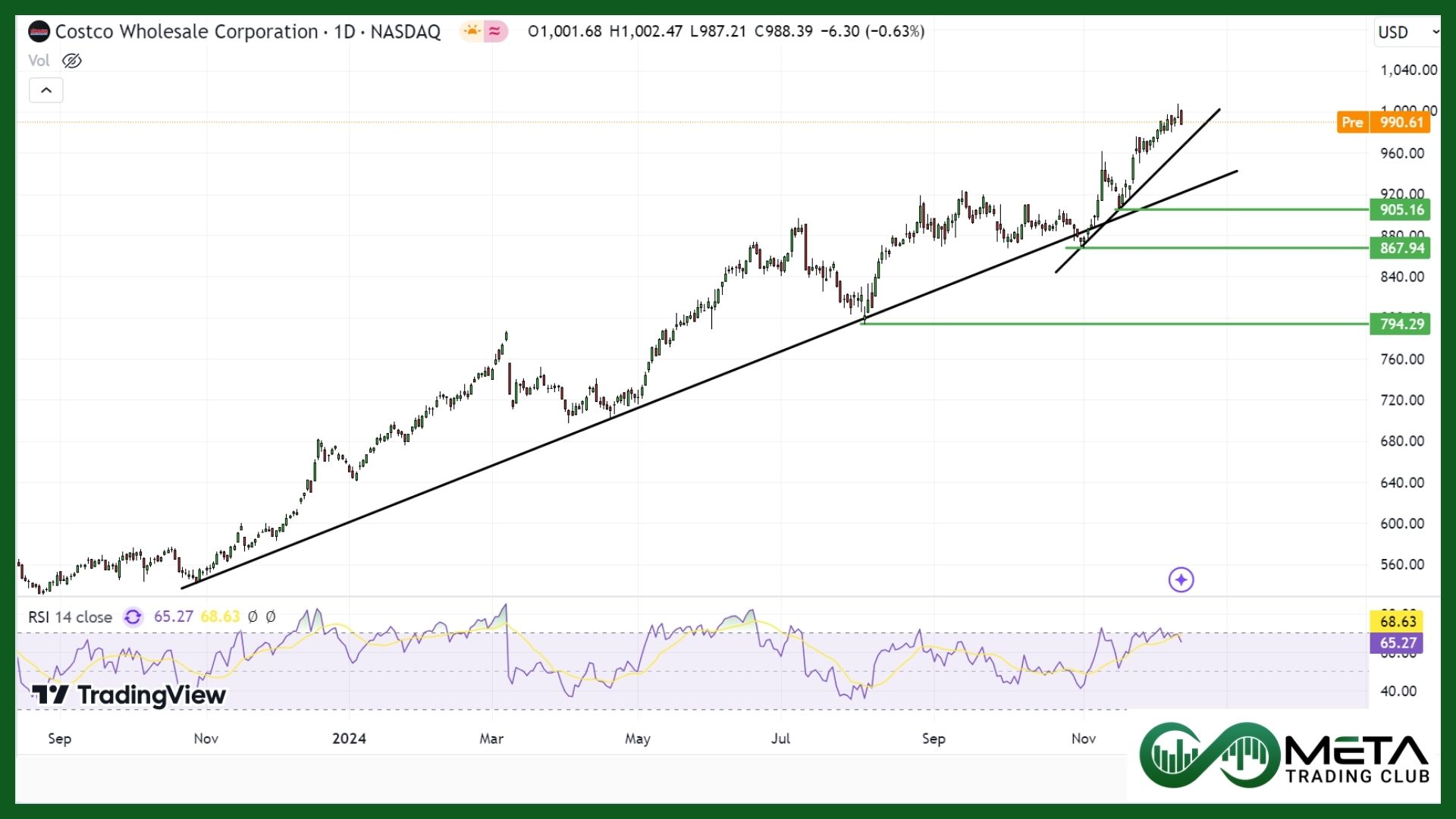 costco q1 earnings