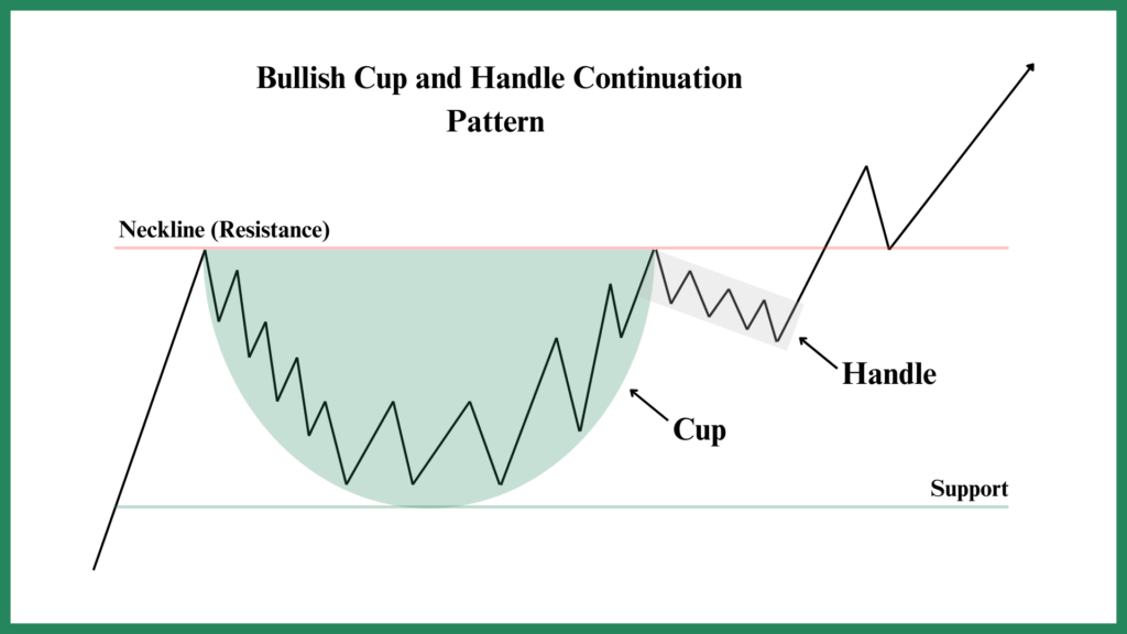 Cup-and-Handle-Anatomy